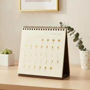 MATOKA }gJ 2026N J_[ O^Cvijn܂jwTHE MOONb̖x