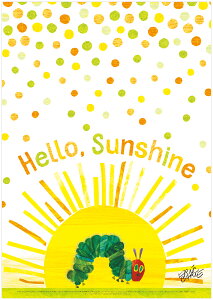 �_P2�{�{�N�[�|���^ERIC CARLE �G���b�N�E�J�[�� B4�T�C�Y�E�|�X�^�[�wSunshine / �͂�؂������ނ��x�b�C���e���A