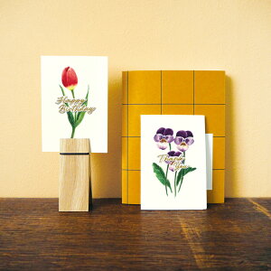 _P2{{N[|^SCINTILLER TeBG O[eBOJ[hbaJ[h bZ[WJ[h Mtg o[Xf[J[h hJ MATOKA }gJ