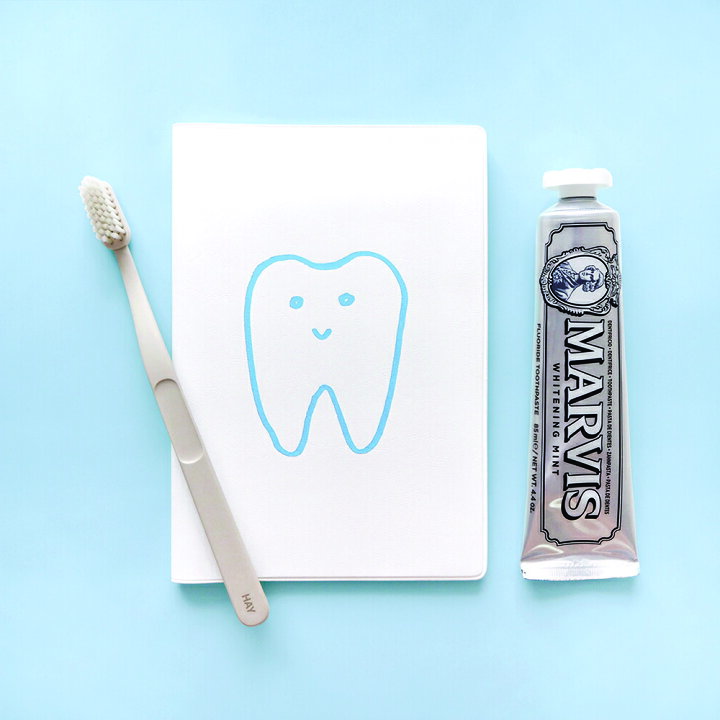 超可爱 手帳 22 4月始まり Matoka マトカ 22年 ダイアリー スケジュール帳 B6サイズ マンスリー フルカラー 月間ブロック はみがきくん Tooth Shipsctc Org