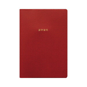 _P2{{N[|^蒠 2026 }gJ 2026N1n܂ _CA[ XPW[bB6TCY }X[EX^_[hiԃubNjwP^bLACERTAxgJQ