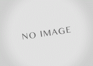 ARP SPORT }t[nK[K[h ~crV T[ Evo.5E6 [CP9A] yLZsz@* LAILE C
