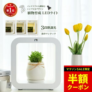 _SALEIzN[|zz^yyV12zeE Lbg A琬LEDCg ϗtA LED ACg A light CeAvc LEDCg A 琬 K[fjO k͔| 