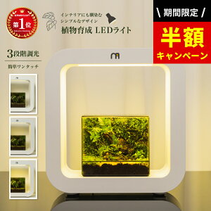 _272܂ŁzSALEI^ yyV12zeE Lbg A琬LEDCg ϗtA LED ACg A light CeAvc LEDCg A 琬 K[fjO k͔| T