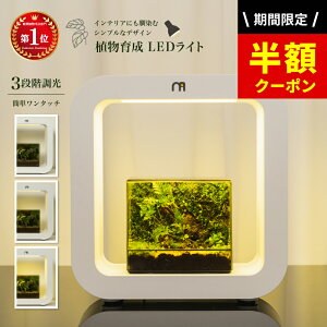 _SALEIzN[|zz^yyV12zeE Lbg A琬LEDCg ϗtA LED ACg A light CeAvc LEDCg A 琬 K[fjO k͔| 