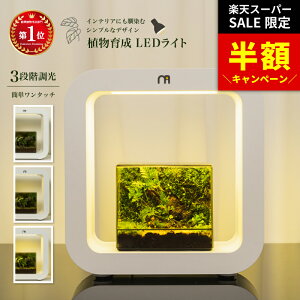 _SS蔼zI^ yyV12zeE Lbg A琬LEDCg ϗtA LED ACg A light CeAvc LEDCg A 琬 K[fjO k͔| T{e A