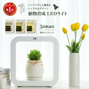 yyV12zeE Lbg A琬LEDCg ϗtA LED ACg A light CeAvc LEDCg A 琬 K[fjO k͔| T{e A A琬C