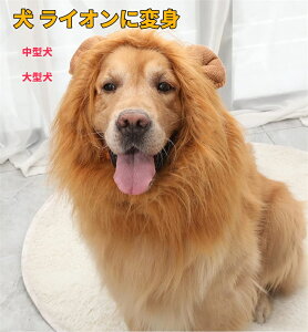  CIɕϐg EBbO RX`[ p RXv Lbv Ԃ A Ă ^ ^ Xq  낢 ϑObY ybg NX}X nEC a