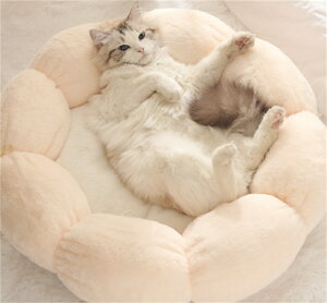 L xbh  NbV Ԍ^  ӂӂ  g Eh ӂӂ Q ې􂢉 ^ L p ~ h h[ic^ \t@ ybgpi H ~