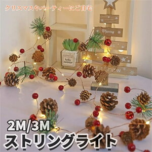 NX}X XgOCg 2M 20LED Christmas NX}Xx pCR[Cg ڂ^ dr DIY  ȃGlM[ _ŋ@\ d߂CgppeBIK[fQ