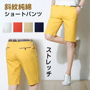 StEFA Stpc StY{ `mp Y Ȑǂ n[tpc XgCv t ėprWlX ܕ Xgb` N[rY  hV̓