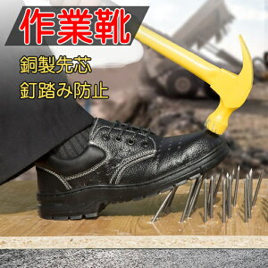 SC ƌC Z[teB[V[Y Xj[J[ Z[teB[V[Y EH[LO V[Y ɂ |c ܐی X|[cV[Y [Jbgɂ  SV