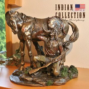 �y���������z�C���f�B�A���� �u�� Indian ��Z���� �n �u���� �A�����J���A�� �R�[���h�L���X�g�u�����Y �v���[���g �M�t�g �C���e���A �G�� 74240