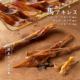 犬 おやつ 無添加 国産 馬アキレス ショート ロング ハード スティック ジャーキー ドッグフード 硬め デンタルケア 歯磨き