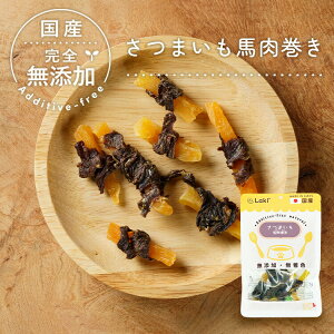   Y Y ܂n  40g hbOt[h gbsO Mtg v[g Ic ^ ^ ^