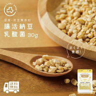 犬 おやつ 無添加 国産 腸活 納豆乳酸菌 30g ふりかけ ドッグフード トッピング ギフト プレゼント オヤ…