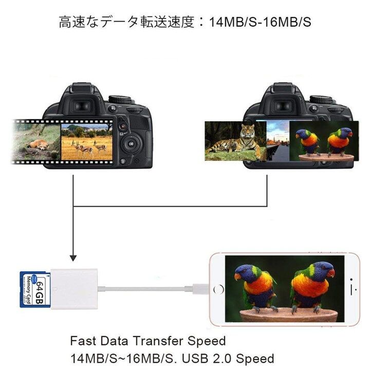 楽天市場 Lightning Sdカードカメラリーダー Iphone Ipad 専用 Iphone13 13 Pro 12 11 11pro X Xs Xr 8 Plus 8 7 7plus 6 6s 6s Plus対応 高速な写真転送 Iphone Sdカード リーダー Manna