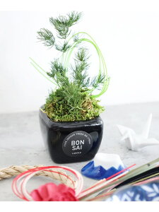 vU[uh~ LAKOLE R CeAEG IuWFEuEA[g ubN zCg[Rakuten Fashion]