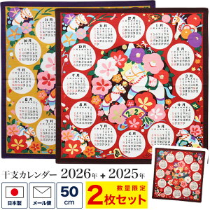 x J_[ 2ZbguC~J_[2026 + 2025v AJ  JV C~ ^yXg[ ߔN n  E} 50cm  VN { s a aG yY Mtg ei 