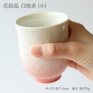   ۂ Pi uԌinԁjv   ̂ Rbv H aH   {   Mtg 蕨 j yY a v[g җj 