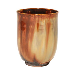   ۂ Piu֗ʁijv   ̂ Rbv H aH   {   Mtg 蕨 j yY a v[g җj Ê 