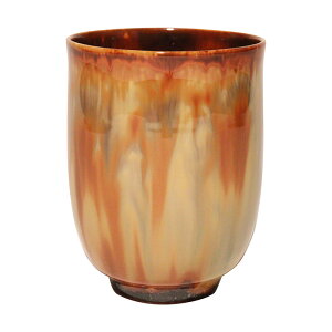   ۂ Piu֗ʁijv   ̂ Rbv H aH   {   Mtg 蕨 j yY a v[g җj Ê 