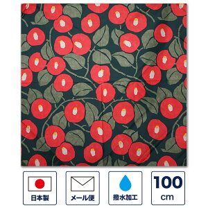 C~ 100cmuANAhbvv H h  e J̓ ΍ |GXe 唻 傫 ӂ낵 GRobO  LOi v[g Mtg j { Y  킢 a