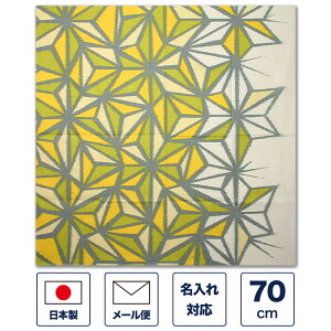 C~ 70cmu_K[ ̗t O[vi΁E̗tlj 唻 傫 ӂ낵 GRobO ٓ  LOi v[g Mtg j LOi j  { 