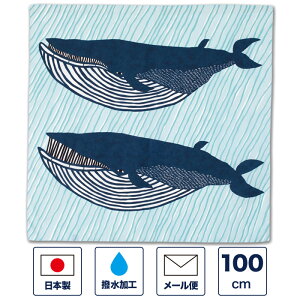 C~ 100cmuANAhbvv H h  e J̓ ΍ |GXe 唻 傫 ӂ낵 GRobO  LOi v[g Mtg j { Y  킢 a