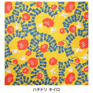 C~ 70cm kata kata ނ  唻 傫 ӂ낵 GRobO ٓ  bsO LOi v[g Mtg j LOi j  { Y  킢 a