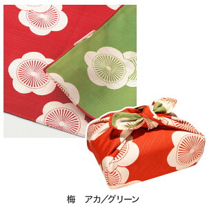 C~ 48cm `[t ɍl o[Vu ʕC~   ӂ낵 GRobO ٓ  LOi v[g Mtg j  { Y  킢 a a ~ 