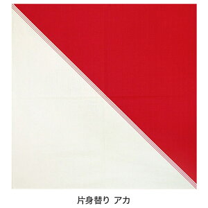 C~ 70cm n  唻 傫 ӂ낵 GRobO ٓ  LOi v[g Mtg j LOi j  { Y  킢 a g N s