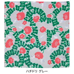 C~ 70cmuANAhbvvH h  e J̓ ΍ |GXe 唻 傫 ӂ낵 GRobO  LOi v[g Mtg j { Y  킢 a