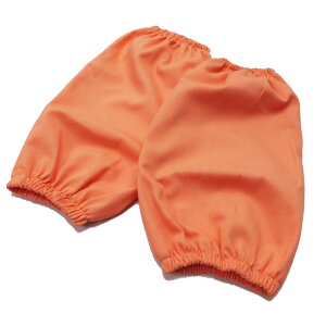 hA[Jo[ {hFi t[TCY[IW^u[]ihЗpi Rfސi ̓ Mtgj [M 1/5]