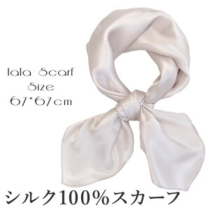 VNXJ[t VN100% XJ[t 唻 67×67cm ` XJ[t fB[X Xg[ ԕ n n  XJ[t t  H 悯 Ă΍  uv΍ ̓ hV̓ a zCgf[ 