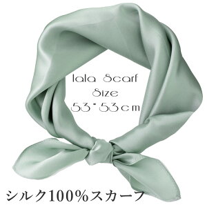 VNXJ[t n  VN100% XJ[t 53×53cm ` XJ[t fB[X Xg[ ԕ n n  XJ[t t  H 悯 Ă΍  uv΍ ̓ hV̓ a zCgf