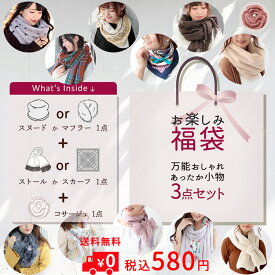 お楽しみ 福袋 小物3点セット レディース 上品 ナチュラル 大判 ストール スカーフ スヌード ファー マフラー ニット コサージュ 送料無料 580円