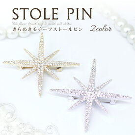 ブローチ レディース おしゃれ 上品 ピンブローチ ストール留め ストールブローチ マフラー留め コート アクセサリー 大人可愛い 服飾雑貨 フォーマル カジュアル ギフトにおすすめ プレゼント ギフト ラッピング可 f4 brooch