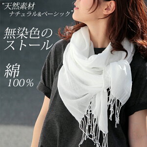 RbgXg[  Rbg n 100 Xg[ fB[X K[[  Xg[ Y F   Fp t  H 悯 Ă΍ [΍ uv΍ ̓ hV̓ a v
