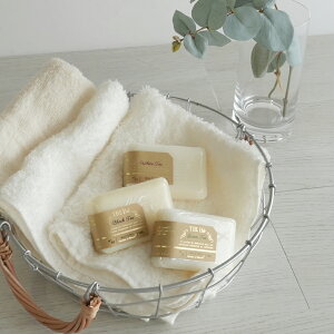 yTHE thezUEeB[ }Ch\[v 100g Ō`Ό {fB\[v THE the ΂ A T^[EGE{[e