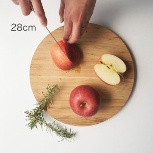 ySALIUzYAMASAKURA R ܂Ȃ28@  28cm h R  VR ۂ܂Ȕ ܂Ȕ@JbeBO{[h ؐ {@tm