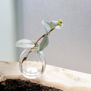 yBOB CRAFTzSmall Vase @Petit Vase v`x[X@H70mm @KX@t[x[X@ԕr
