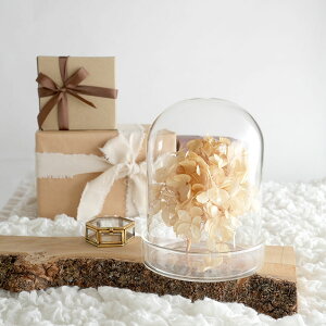 yThe Joy Luck ClubzfBXvCh[@OX@h[@KX̃CeA@H140mm