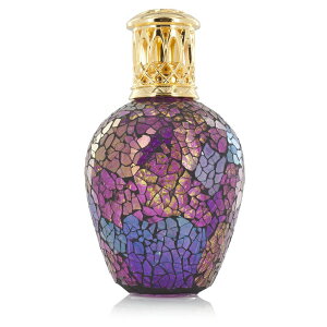 yAshleigh & BurwoodzAVCo[Ebh@_[NTCh@Iu@U@[@A}fBt[U[S L tOXv E L Rی CMX Mtgɂ h