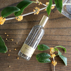 yTHE thezIX}TXeB[@UEeB[ @[Xv[ 100ml @LNZC@ tOX THE the tX T^[EGE{[e