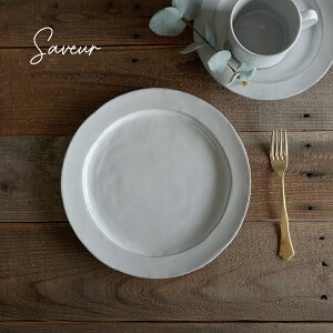 ySaveurzT[@v[g@27cm fBi[v[g@y@ێM@Vr[ȂM@{@Zā@Tu[