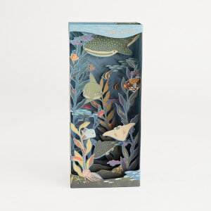 �l�R�|�X�Ή��yUP WITH PAPER�z�@3D Deep Sea �f�B�[�v�V�[�@�o�[�X�f�[�J�[�h�@���a�����J�[�h�@�|�b�v�A�b�v�J�[�h�@���̃J�[�h �M�t�g �� 7.62 cm × 17.78 cm × 5.08 cm�@Design in USA