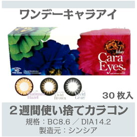 ワンデー キャラアイ カラーシリーズ (30枚入) カラコン サークル コンタクト レンズ 1DAY カラー