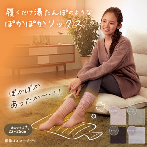  ۂ݂Ȃ\bNX  [\bNX ₦΍ h C fB[X Y jp ₦ AQp  킢 ߓdObY v[g Mtg 