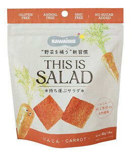 yYzɂ񂶂 `bvX 40g yTHIS IS SALAD ؃`bvX wV[XibN Oet[ xW`bvX  qǂ r^~ H@  َq Hiz
